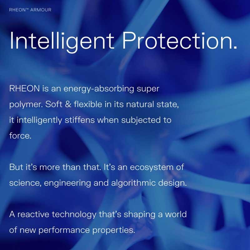 Rheon CE Level 2 Full Back Protector Insert Armour