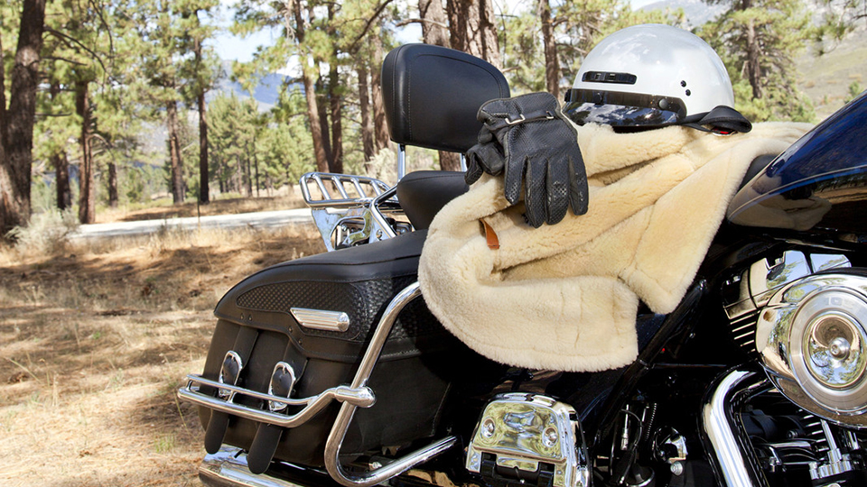 What is the Best Gloves for Motorcycle Riding?